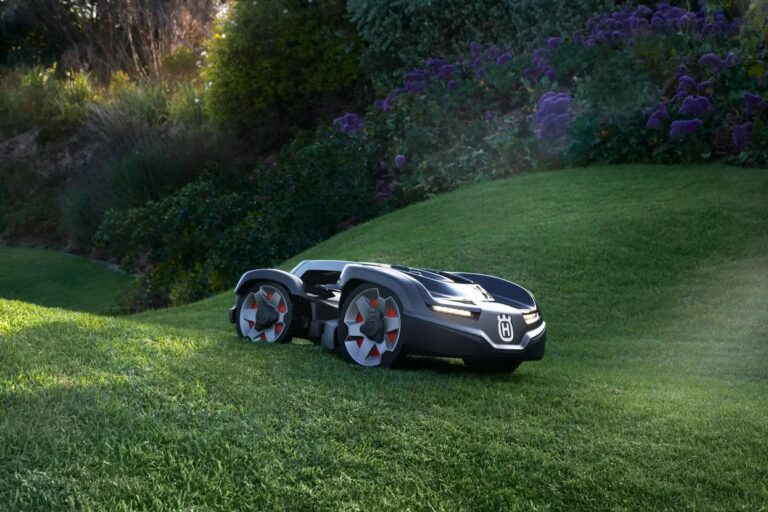 Une jolie pelouse avec tondeuses manuelles et robots : conseils, choix et entretien